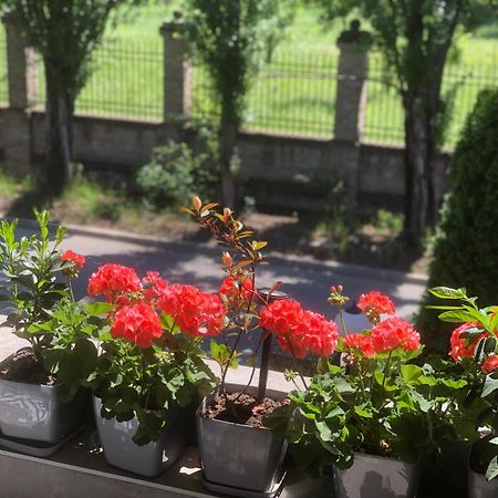 Apartments Dunja Нови Сад Екстериор снимка